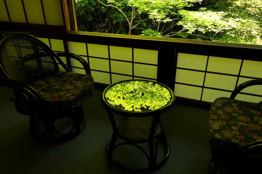 Garden view room